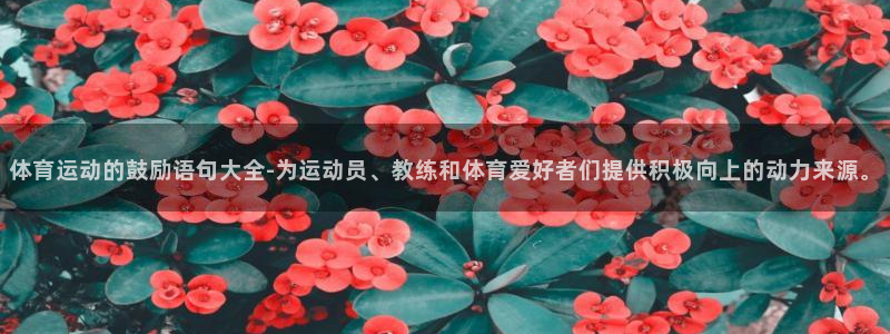 九球体育录像在线观看