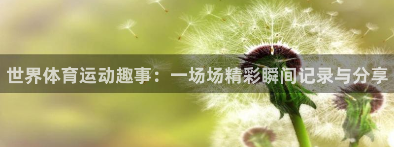 九球体育录像在线观看