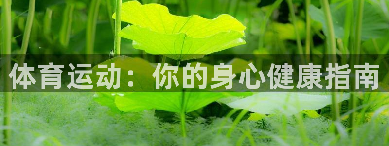 九球体育app下载苹果版