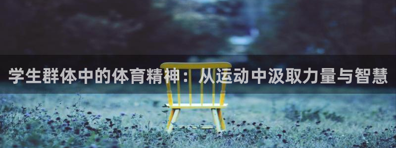 九球体育app官方版下载：学生群体中的体育精神：从运动中汲取力量与智慧